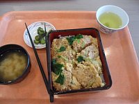 Katsudon